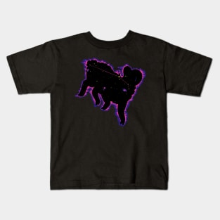 Accurate Aries Kids T-Shirt